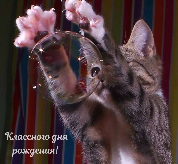 Классного дня рождения! 