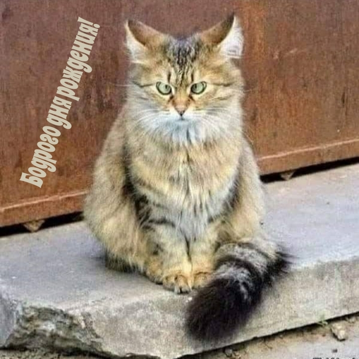 Бодрого дня рождения! 