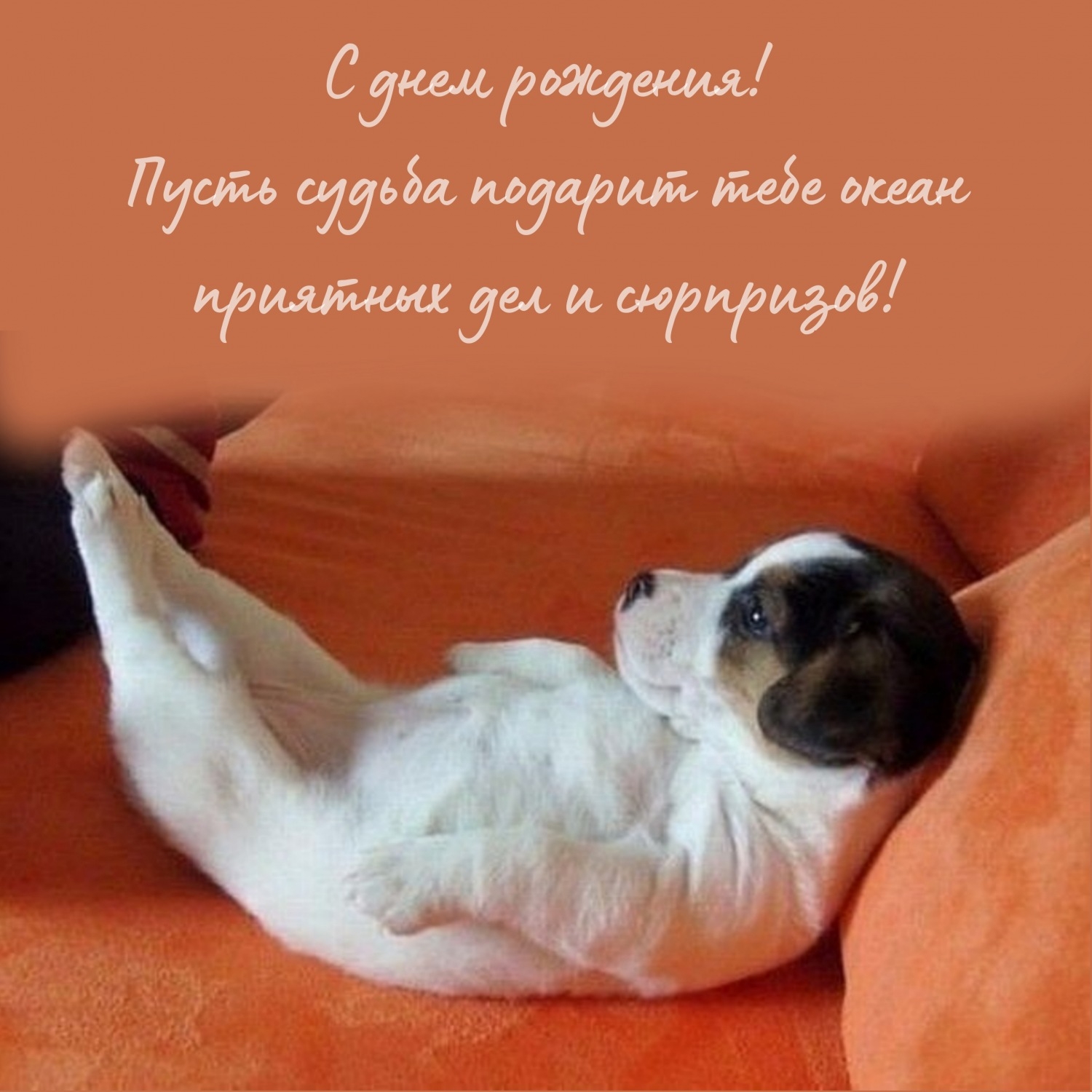 Пусть судьба подарит океан приятных дел и сюрпризов!