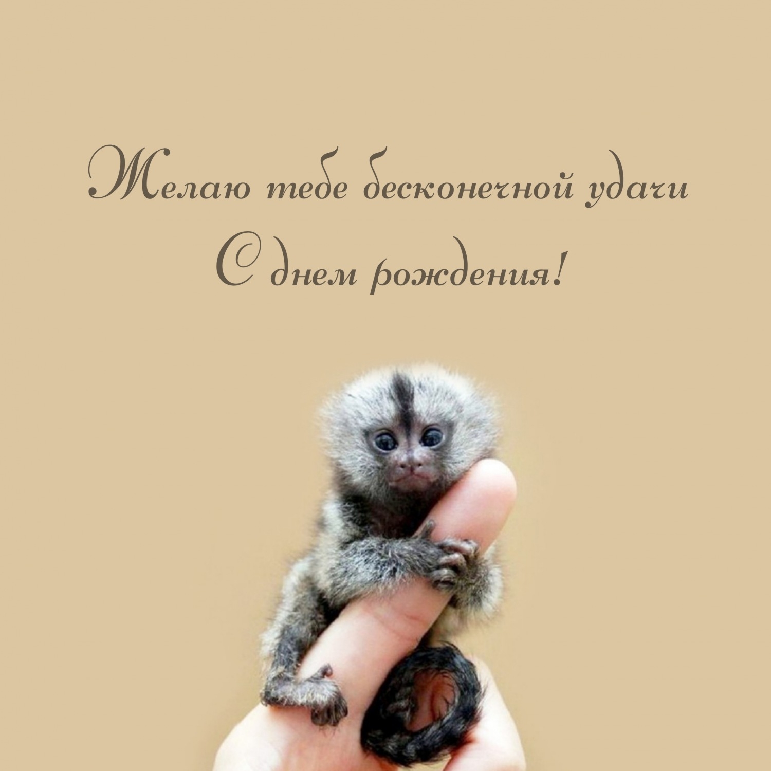 Желаю тебе бесконечной удачи с днем рождения!