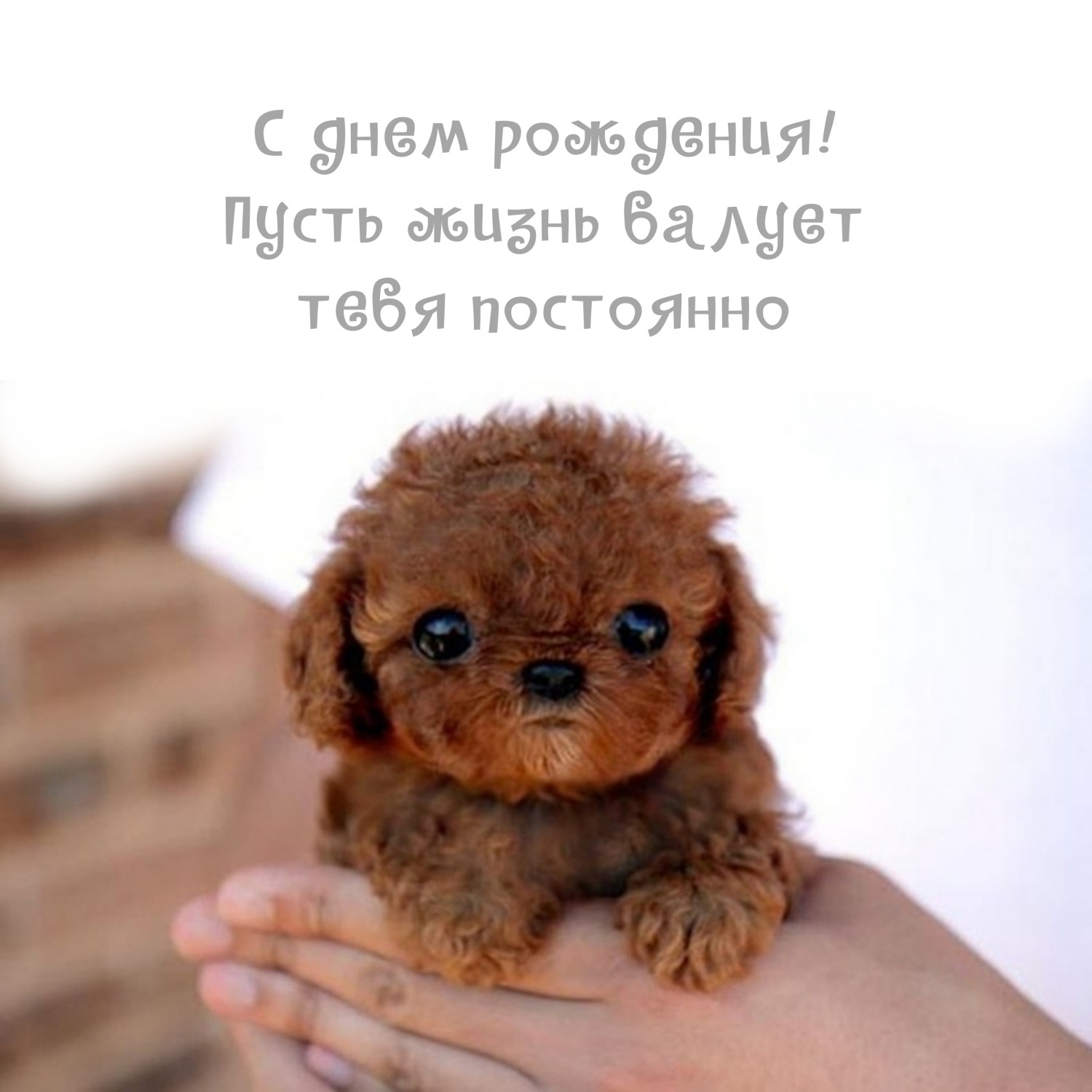 С днем рождения! Пусть жизнь балует тебя постоянно