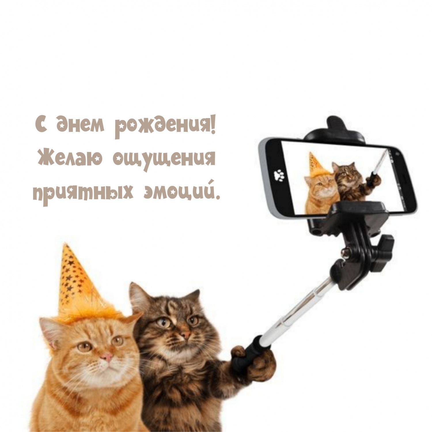 С днем рождения! Желаю ощущения приятных эмоций.