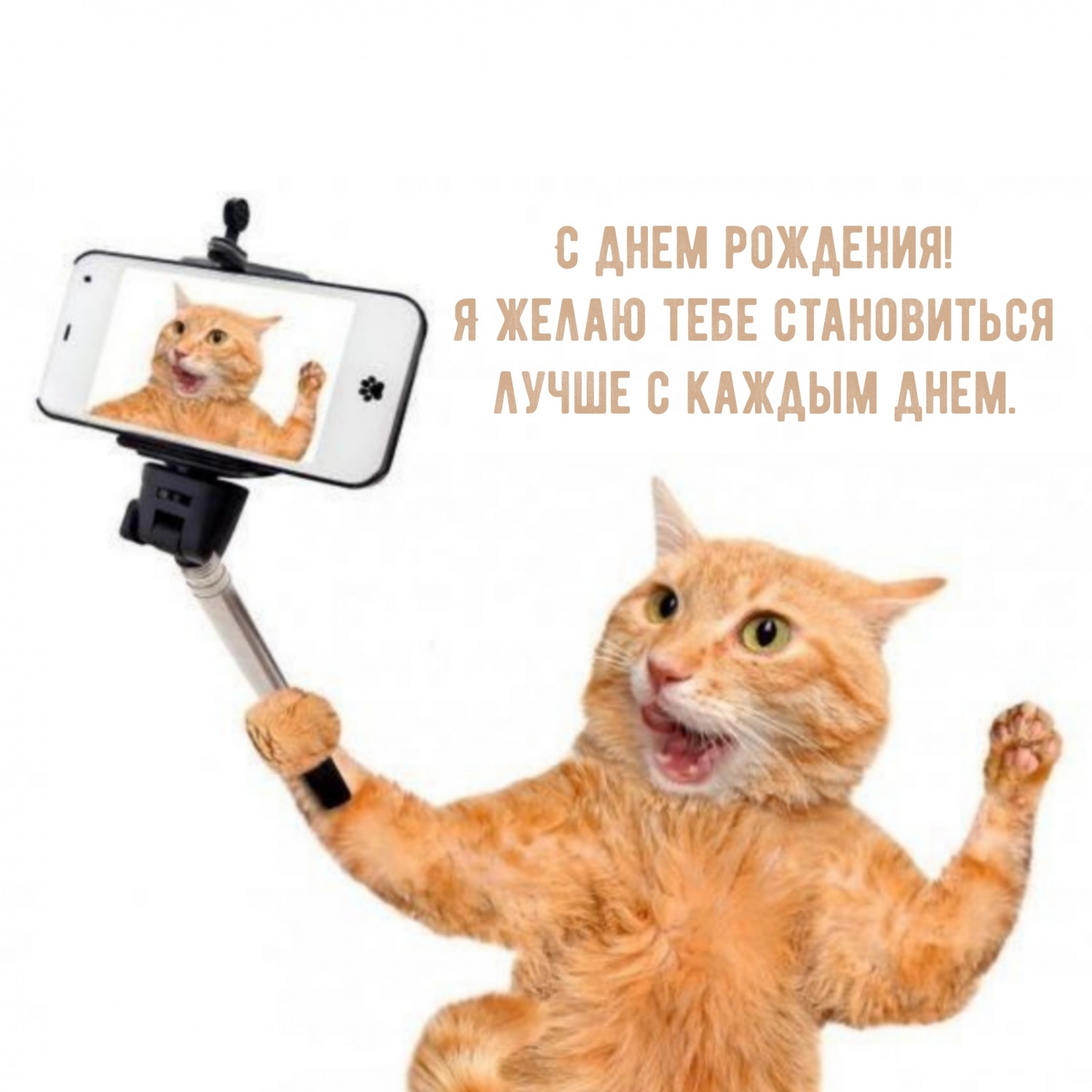 С днем рождения! Я желаю тебе становиться лучше с каждым днем