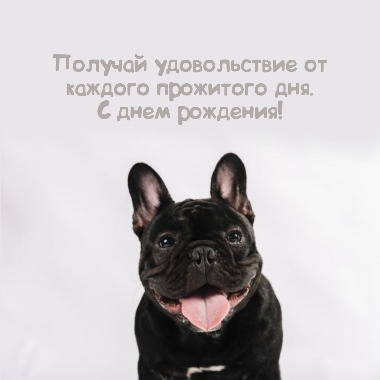 Получай удовольствие от каждого прожитого дня. С днем рождения!