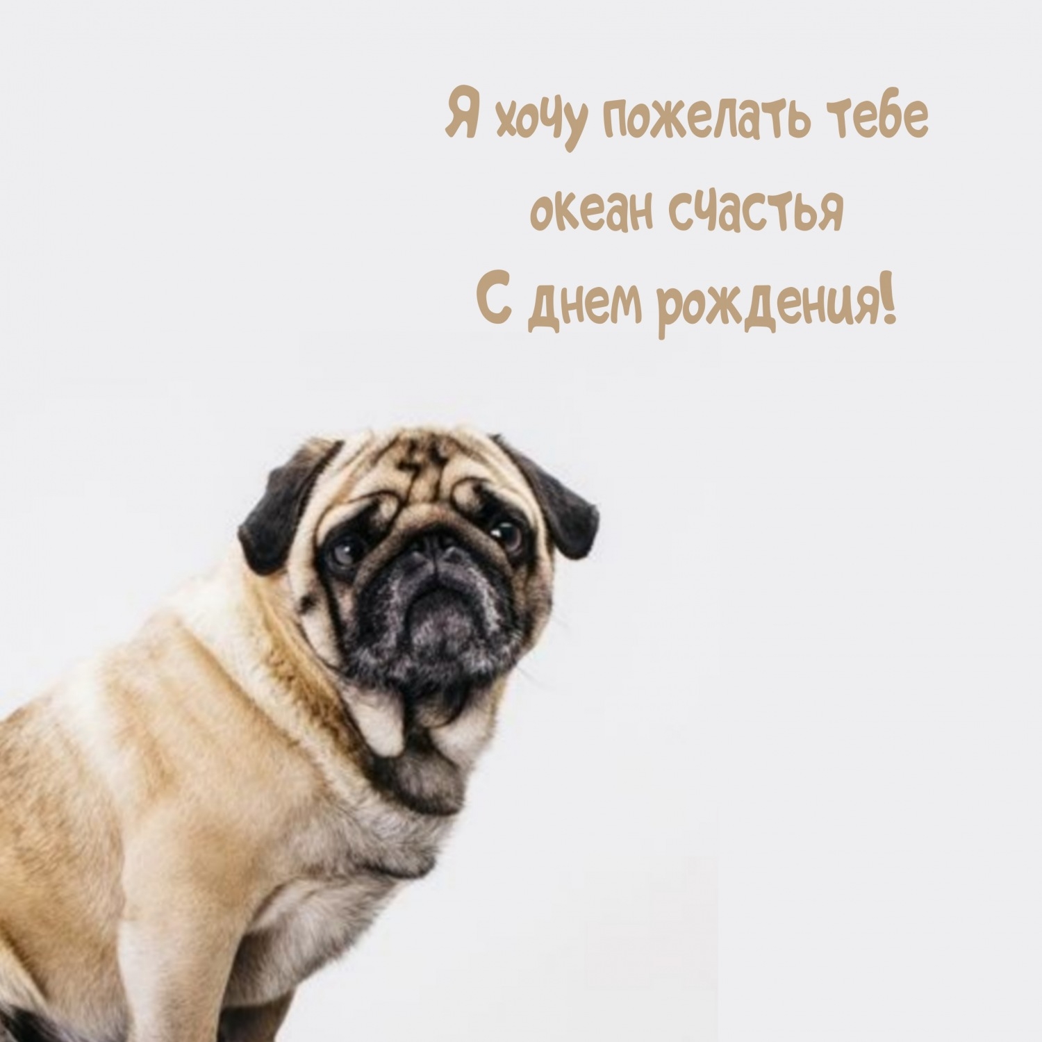 Я хочу пожелать тебе океан счастья С днем рождения!