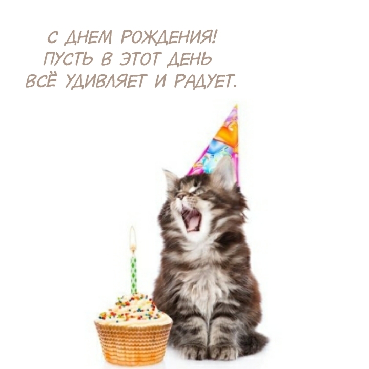 С днем рождения! Пусть в этот день всё удивляет и радует.