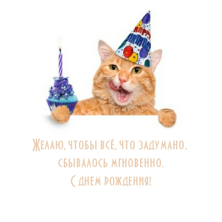 Желаю, чтобы всё, что задумано, сбывалось мгновенно.