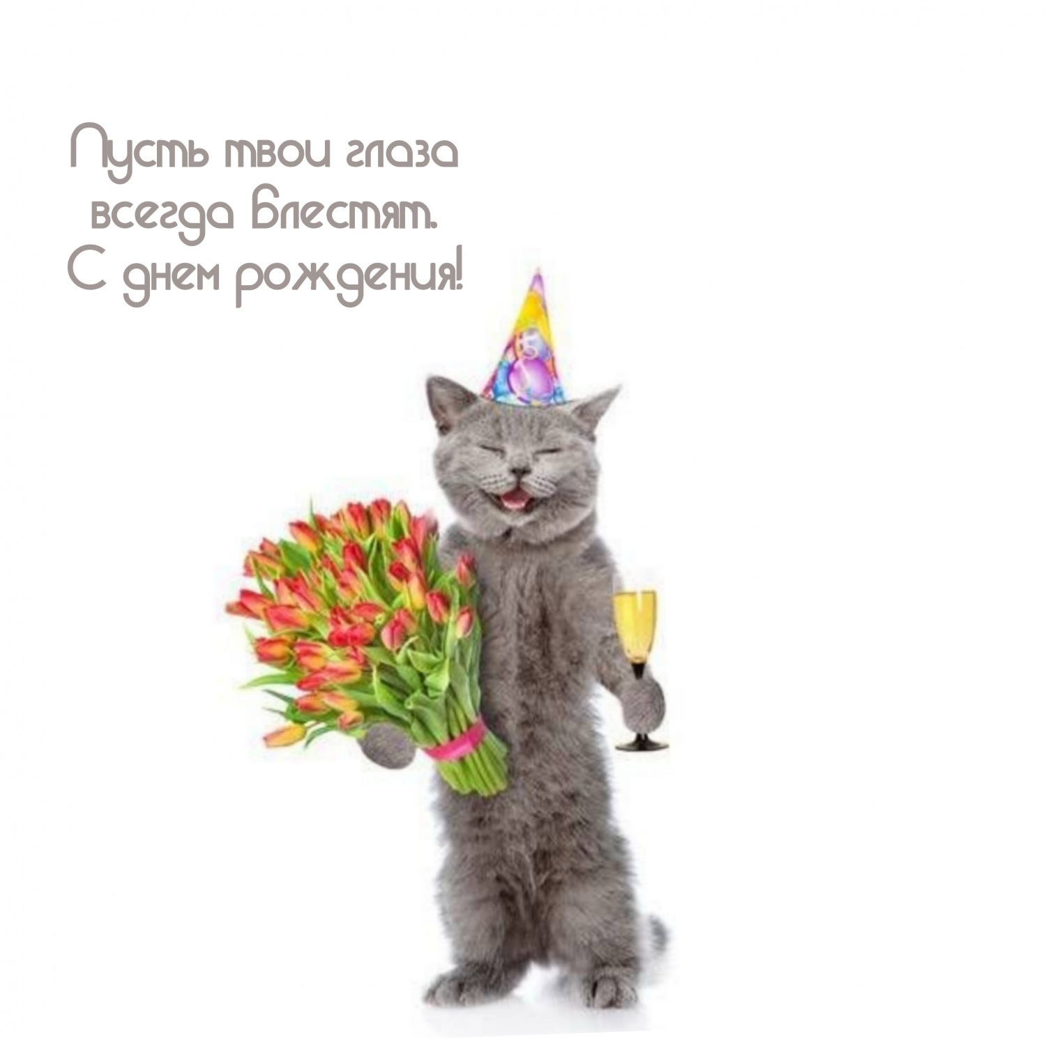 Пусть твои глаза всегда блестят. С днем рождения!