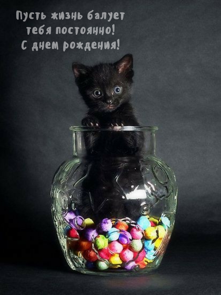 Пусть жизнь балует тебя постоянно! С днем рождения!