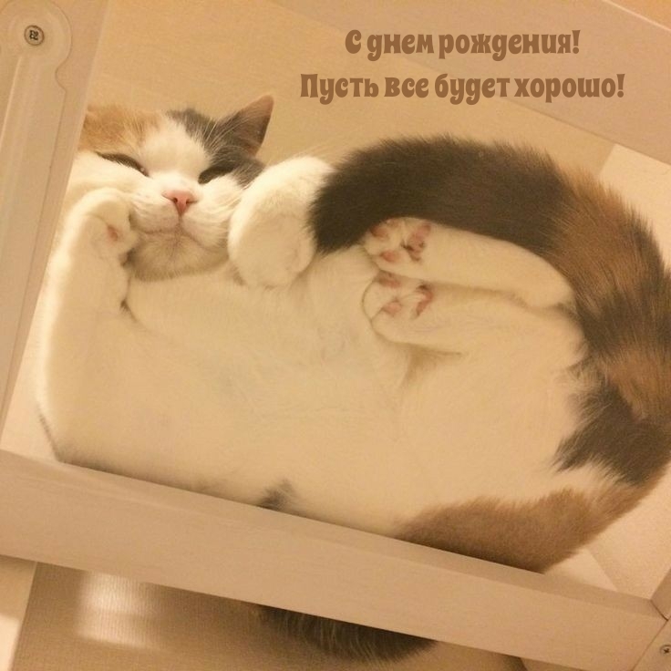С днем рождения! Пусть все будет хорошо!