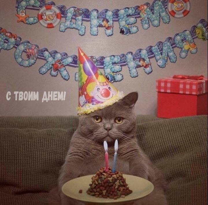 С твоим днем!