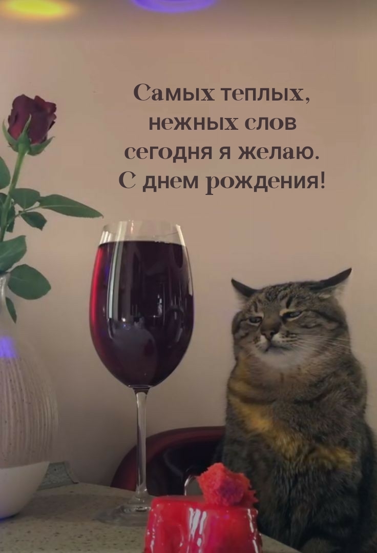 Самых теплых, нежных слов сегодня я желаю. С днем рождения!