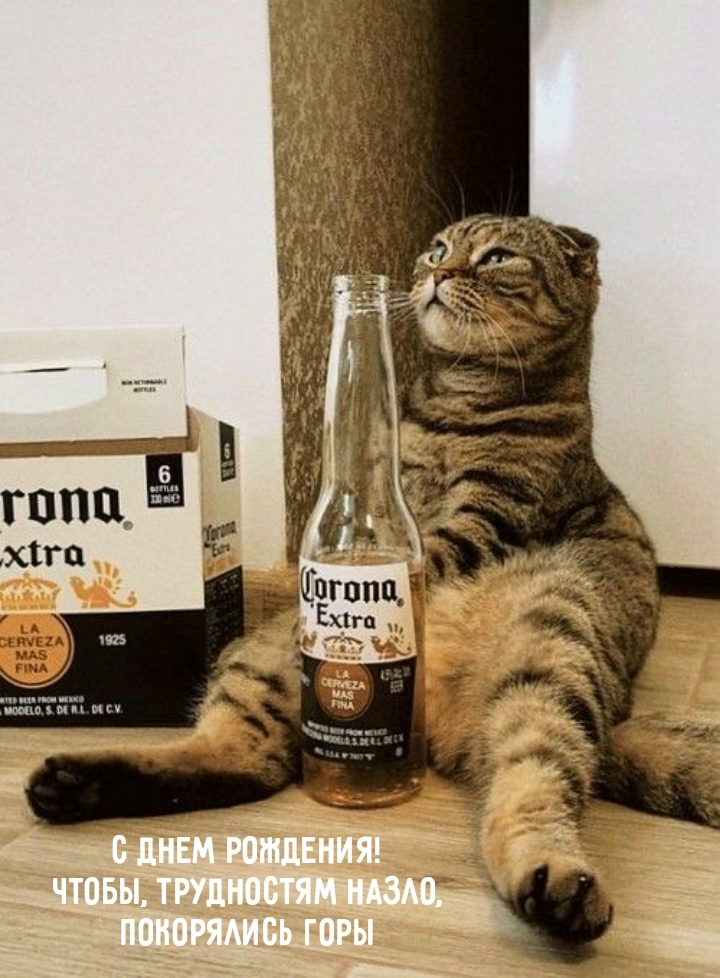 С днем рождения! Чтобы, трудностям назло, покорялись горы