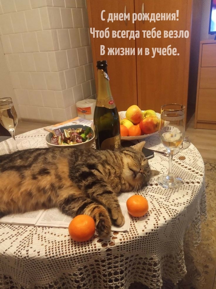 С днем рождения! Чтоб всегда тебе везло в жизни и в учебе.