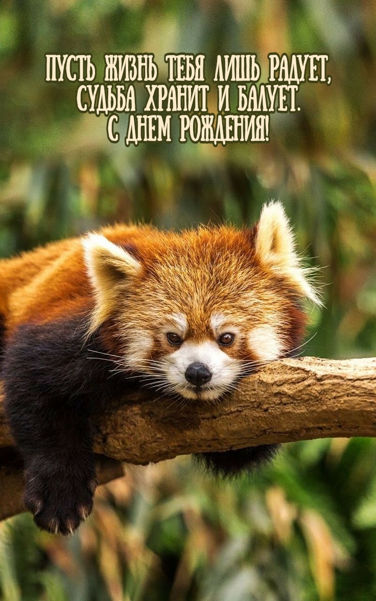 Судьба хранит и балует. С днем рождения!