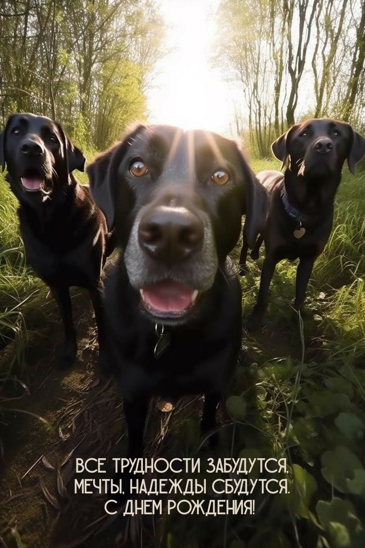 Все трудности забудутся, надежды сбудутся. С днем рождения! 