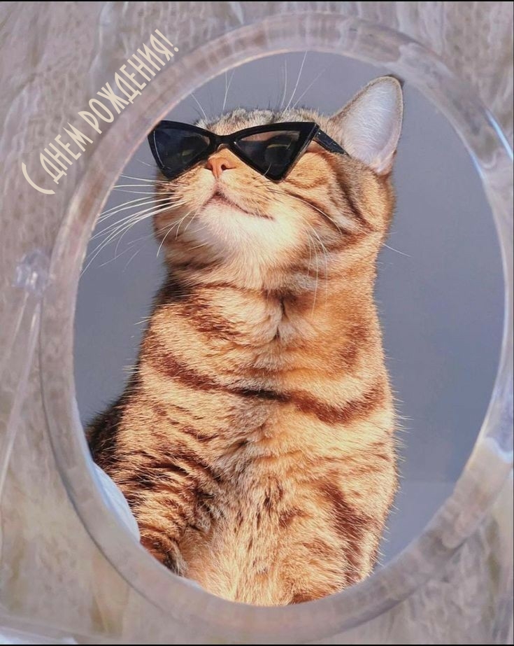 С днем рождения!