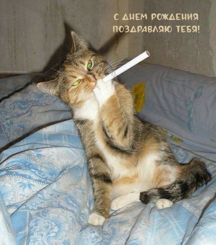 С днем рождения поздравляю тебя!