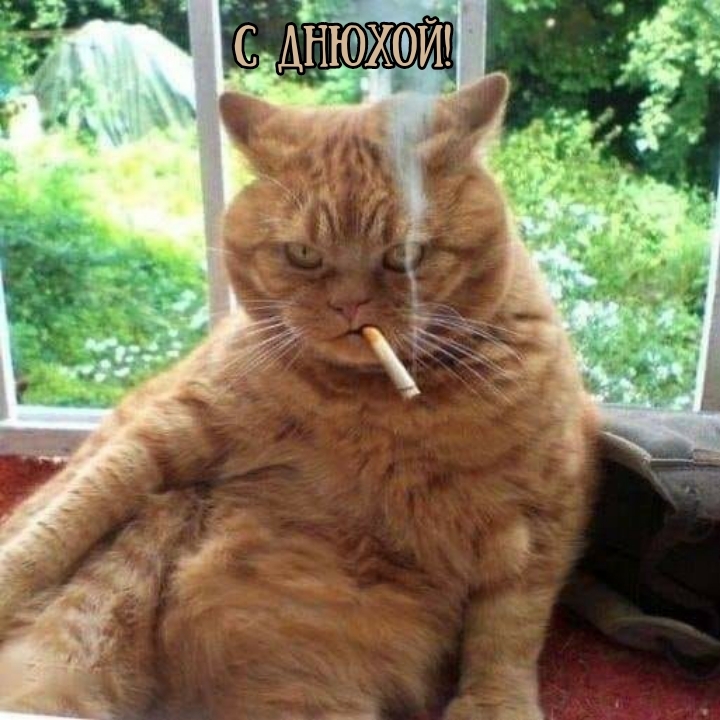 С днюхой!