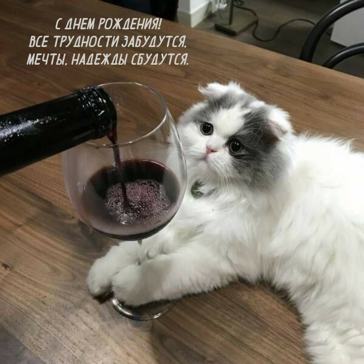 Все трудности забудутся, Мечты, надежды сбудутся.