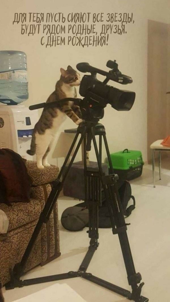 Для тебя пусть сияют все звезды, будут рядом родные, друзья.