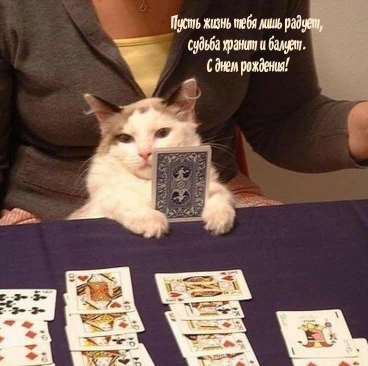 Пусть жизнь тебя лишь радует, судьба хранит и балует.