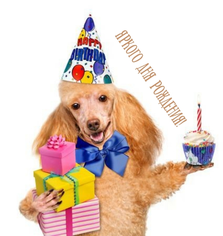 Яркого дня рождения! 