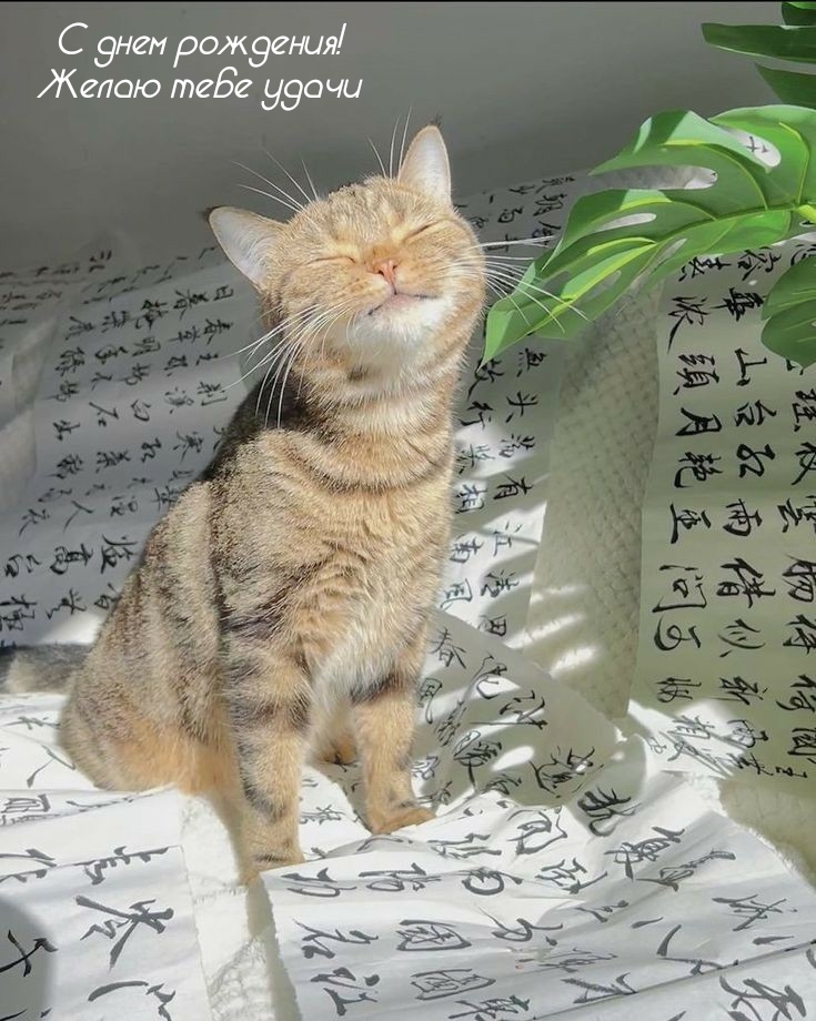 С днем рождения! Желаю тебе удачи