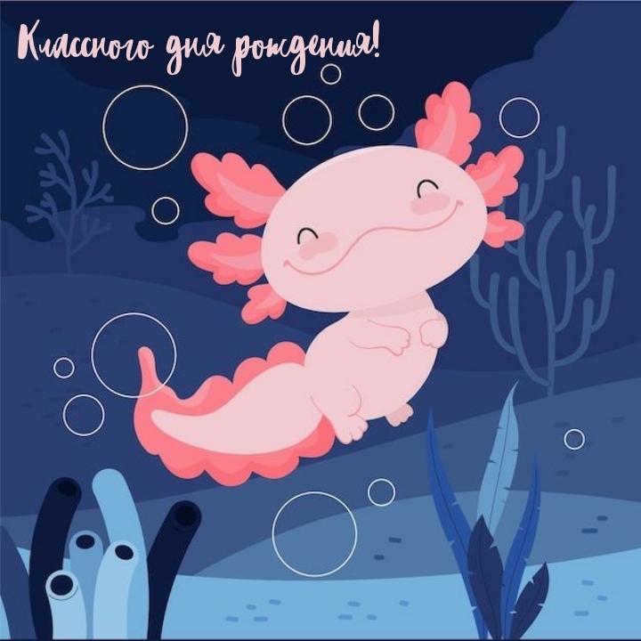 Классного дня рождения! 