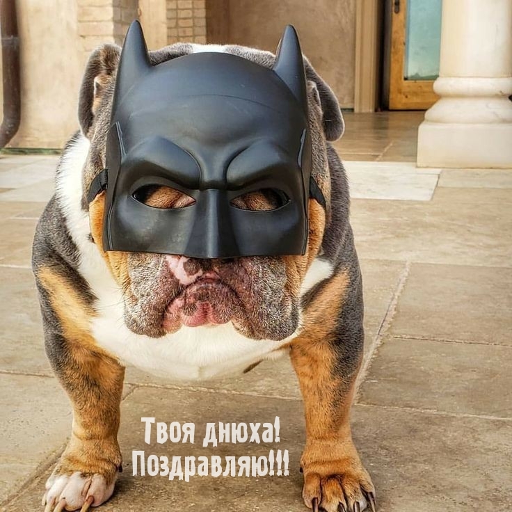 Твоя днюха! Поздравляю!