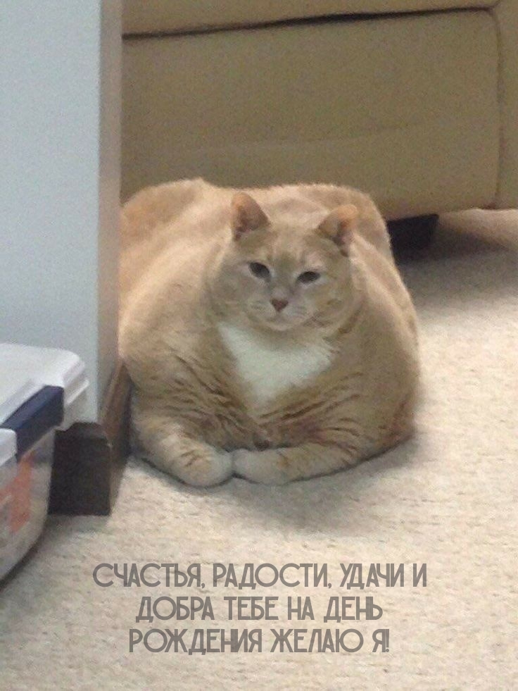 Счастья, радости, удачи и добра тебе на день рождения желаю я!