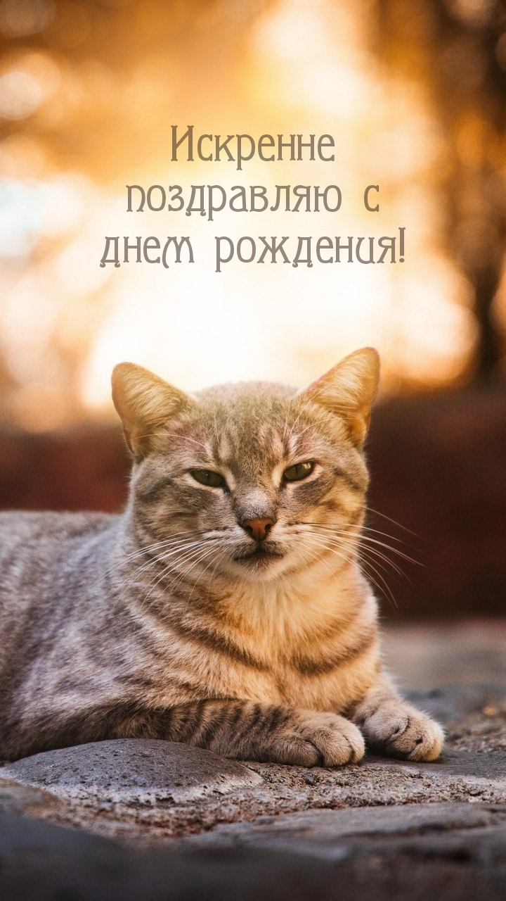 Искренне поздравляю с днем рождения!