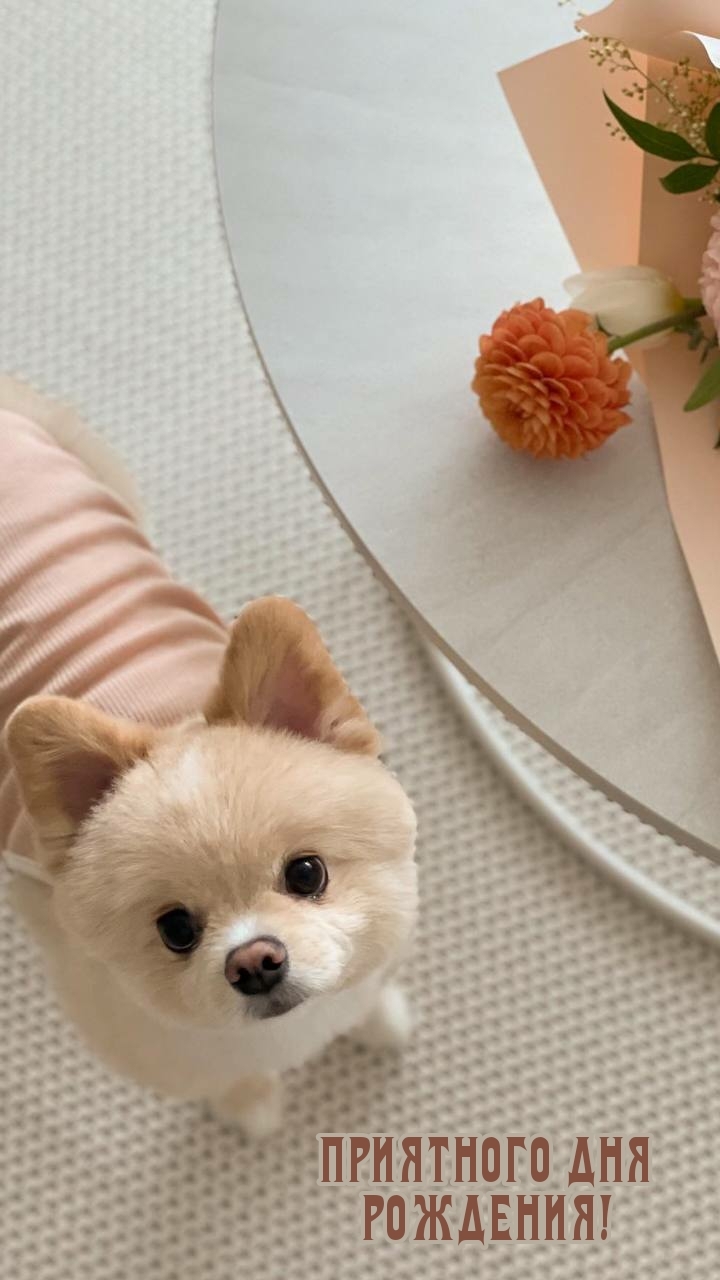 Приятного дня рождения!