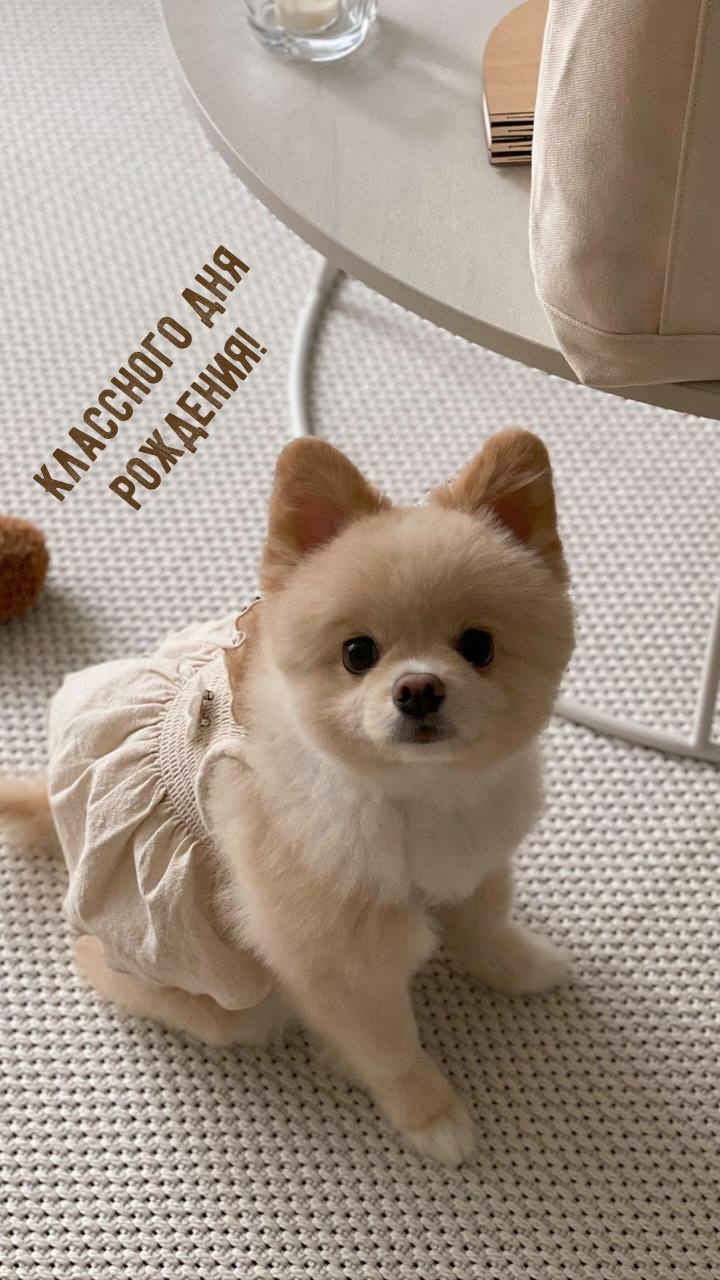 Классного дня рождения! 