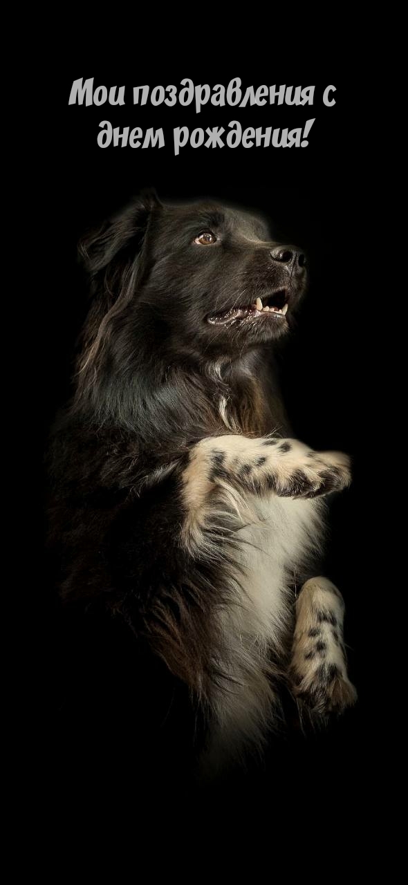 Мои поздравления с днем рождения!