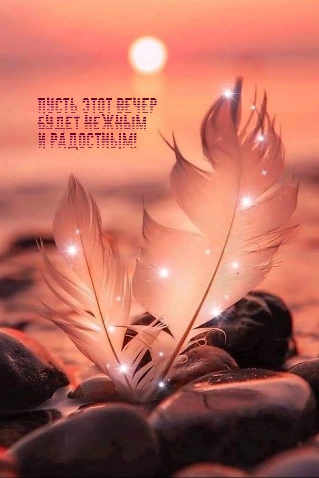 Пусть этот вечер будет нежным и радостным!