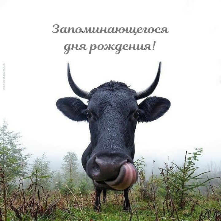 Запоминающегося дня рождения!
