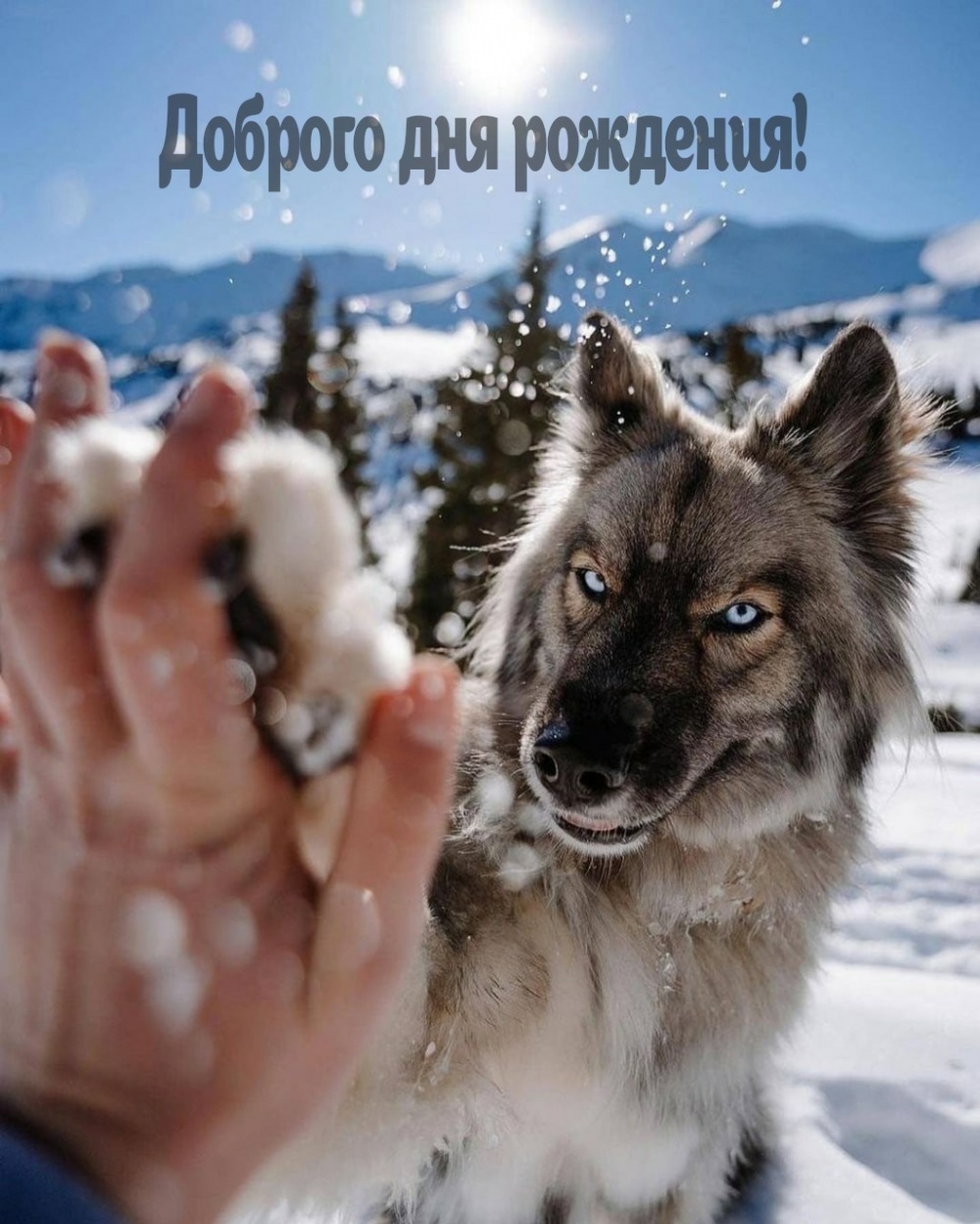 Доброго дня рождения! 