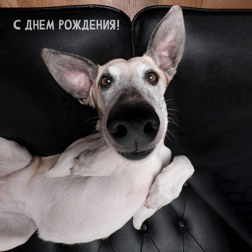 С днем рождения!