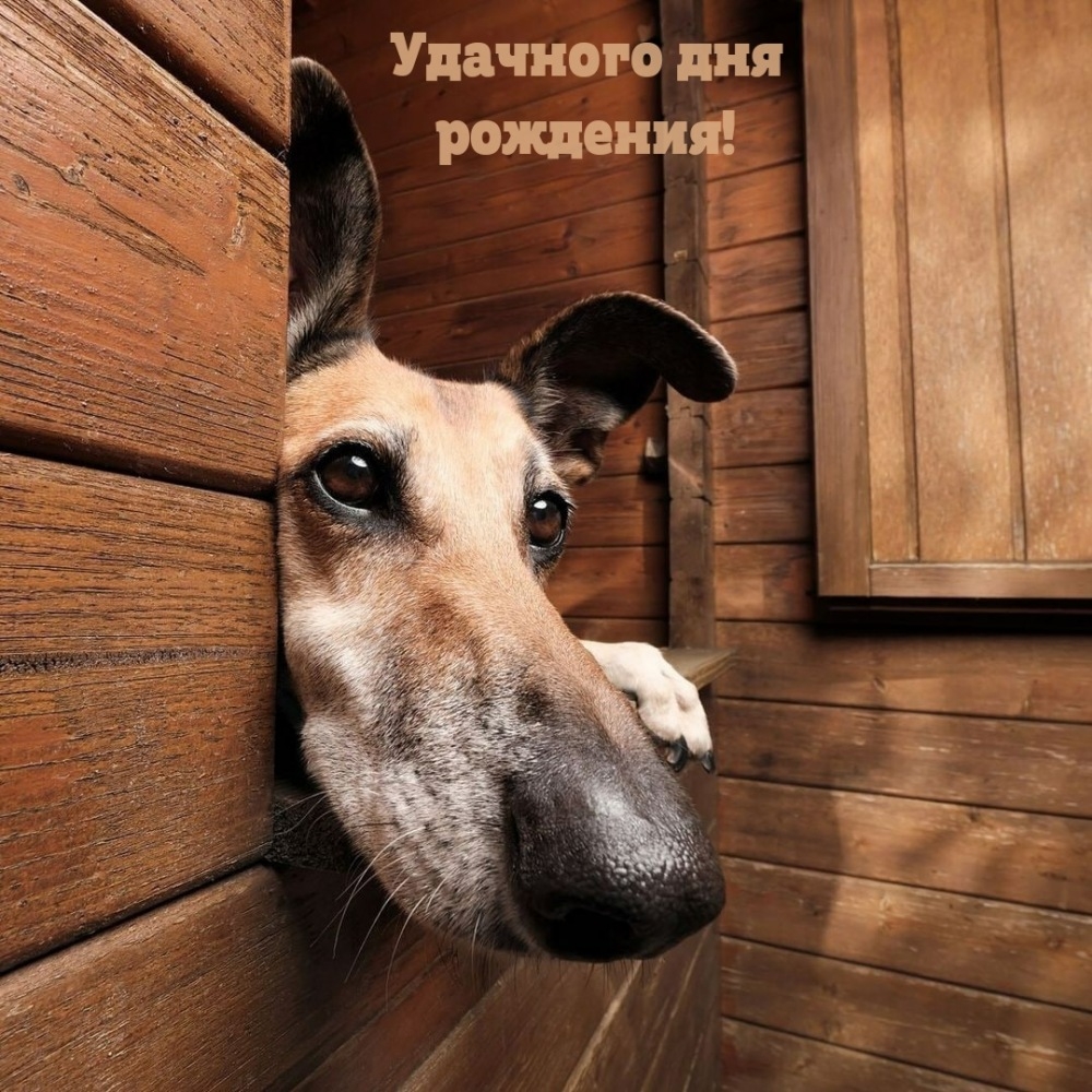 Удачного дня рождения!