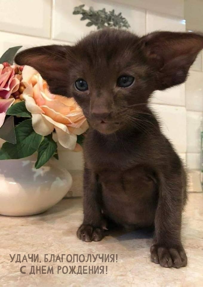 Удачи, благополучия! С днем рождения!