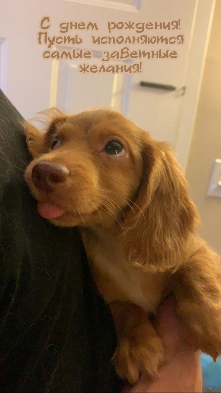 С днем рождения! Пусть исполняются самые заветные желания!