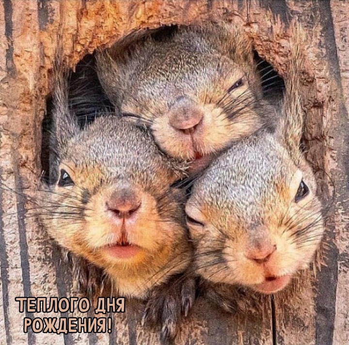 Теплого дня рождения! 