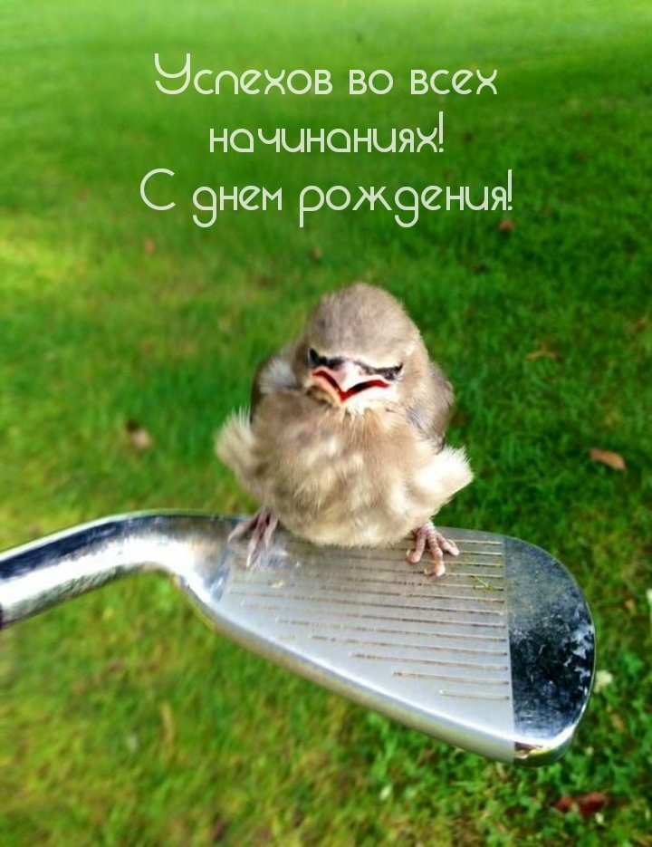 Успехов во всех начинаниях! С днем рождения!