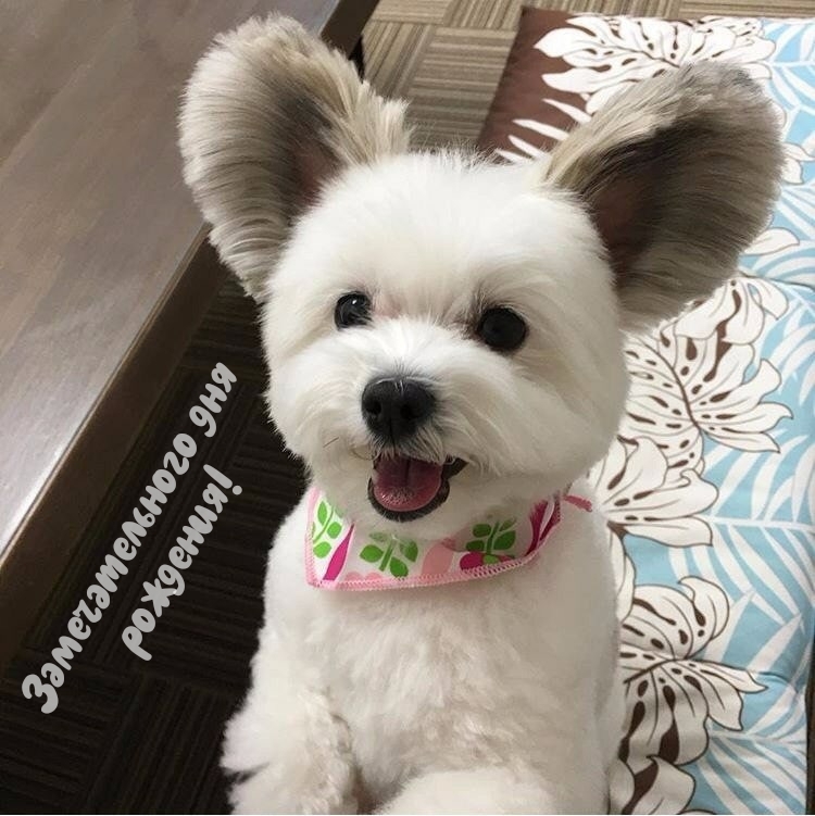 Замечательного дня рождения!