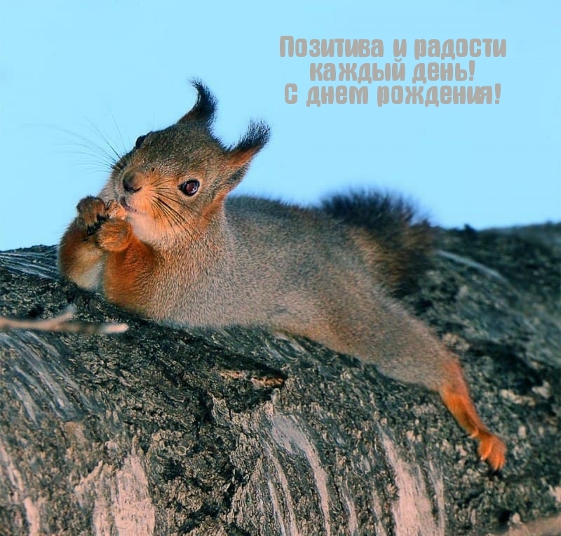 Позитива и радости каждый день! С днем рождения!