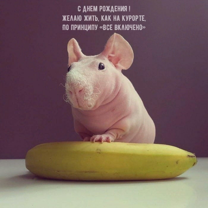 С днем рождения! Желаю жить, как на курорте