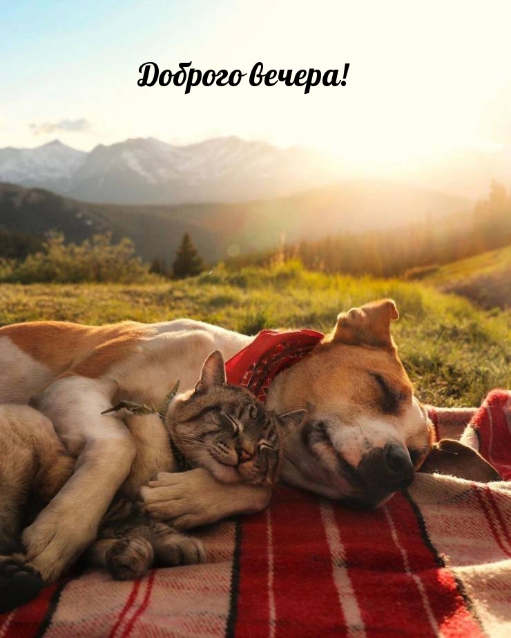 Доброго вечера!