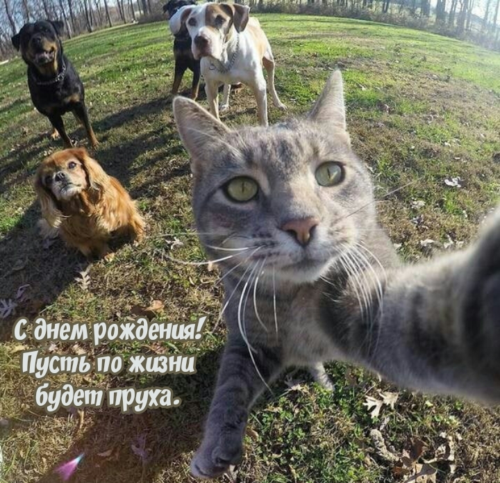 С днем рождения! Пусть по жизни будет пруха.