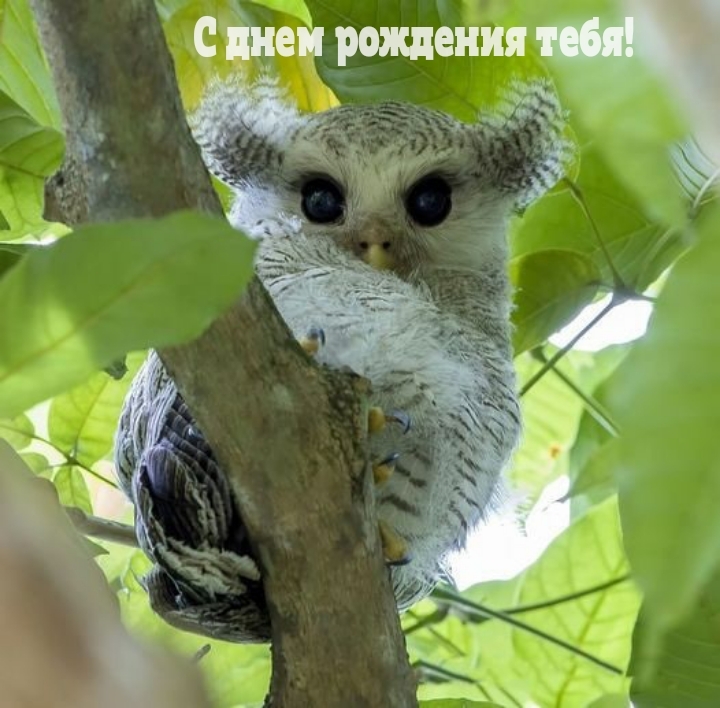 С днем рождения тебя!